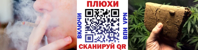 Гашиш Изолятор Шенкурск