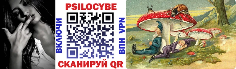 продажа наркотиков Шенкурск Галлюциногенные грибы мицелий
