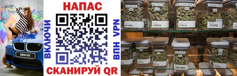 купить наркотик  Шенкурск  Конопля SATIVA & INDICA 